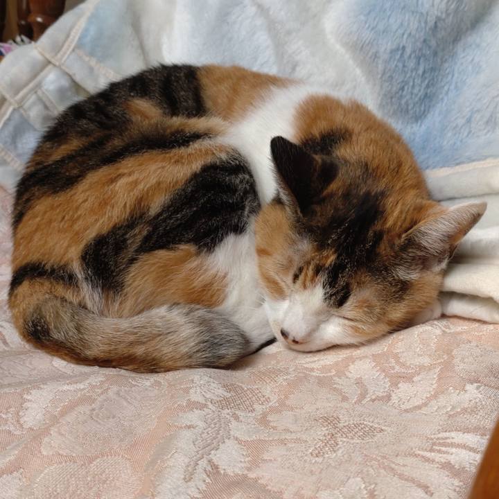 814d8754 15de 4914 ab16 acb5f0768745 1682828879951