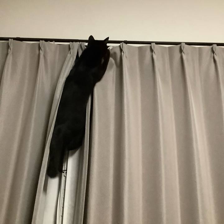 814d8b38 22bf 49e0 ae33 95a8a0b290fc 1699534158753