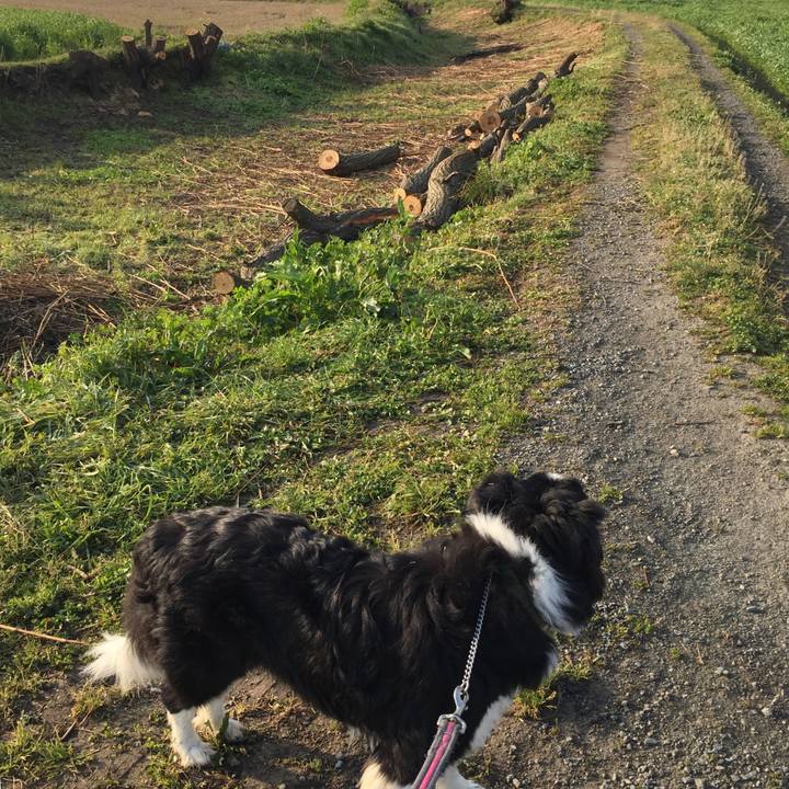 814df367 b08c 4f52 aad0 aac73b7eee9b 1584485907611