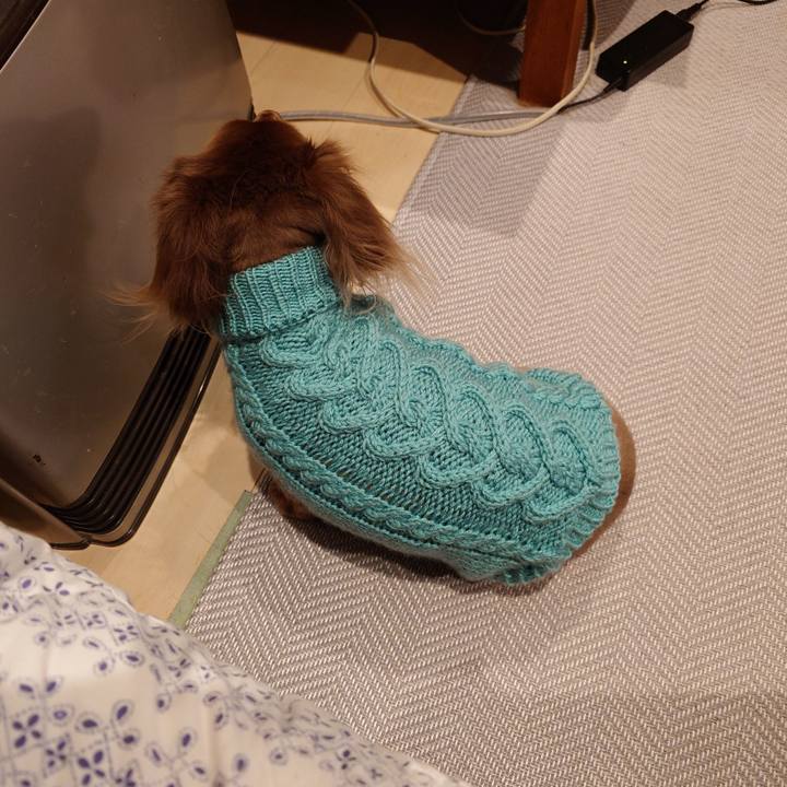 814e2b26 6f9f 481d a13a 464e324ea73f 1735553757131