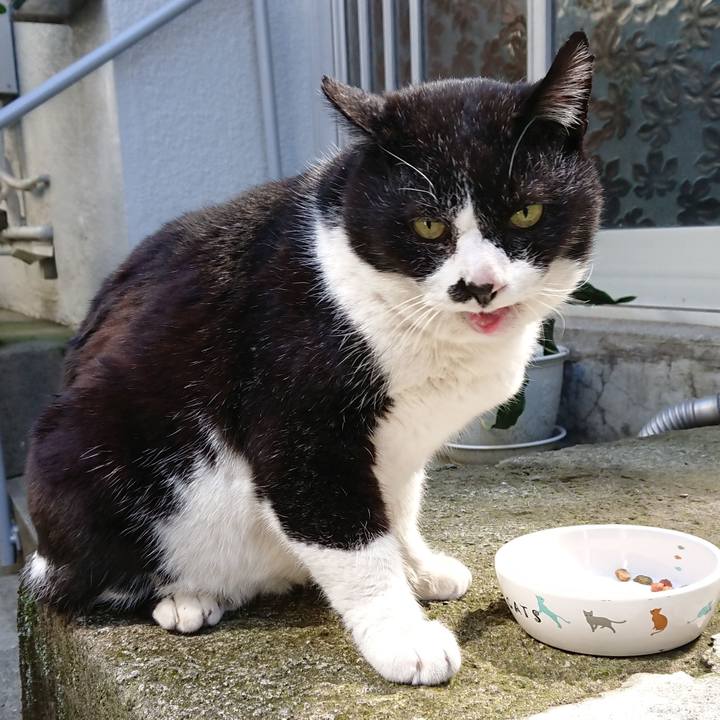 814e3684 9b21 42e7 ad6f b8812a6700d9 1679198042826