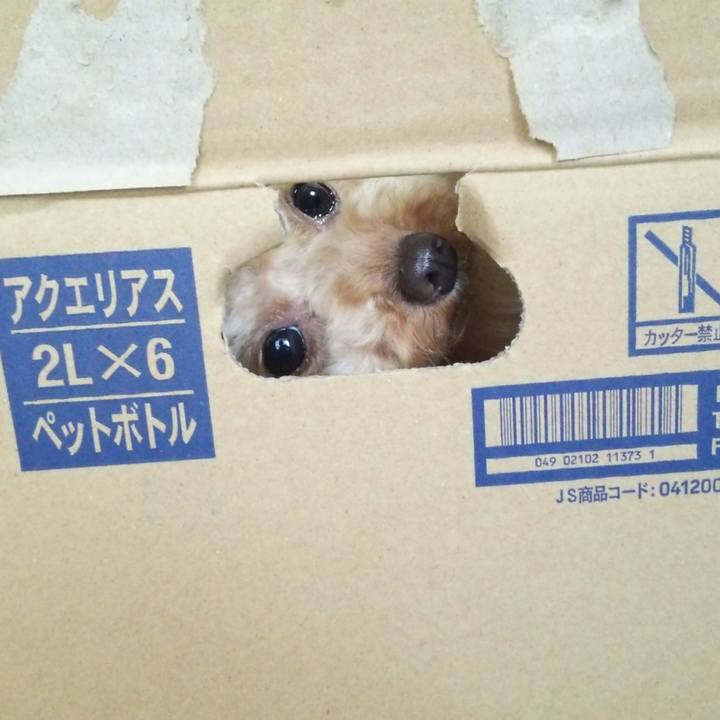 814e8d64 68f5 4e16 9722 a7840e34aab4 1532492197436