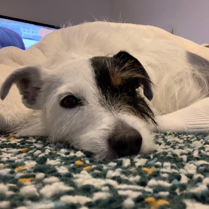 814e9b41 67e4 4b7e 9f4f c8e4a0f39dff 1615188736156