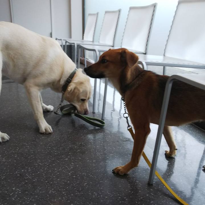 814eb044 a99e 4383 817e c5322fc1969d 1528594136290