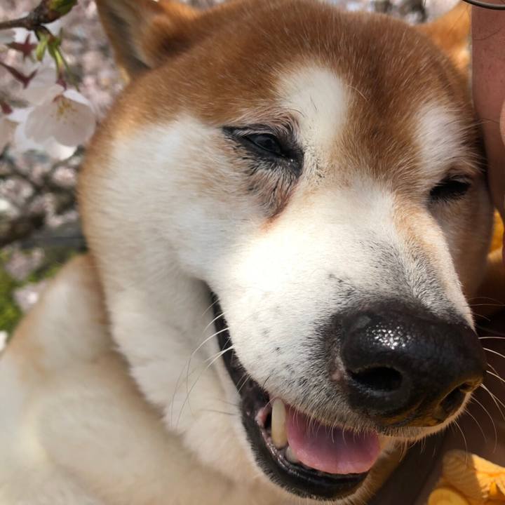 814ee1ac 9cb0 4569 bead 100a96886973 1554691899912