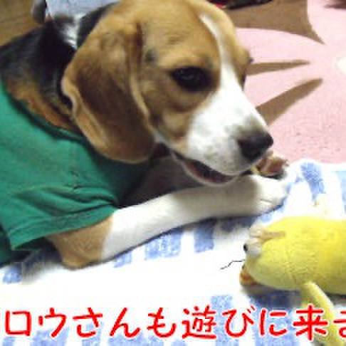 814f05a7 9e1d 419a bc84 d0e00643676d 1718668084289