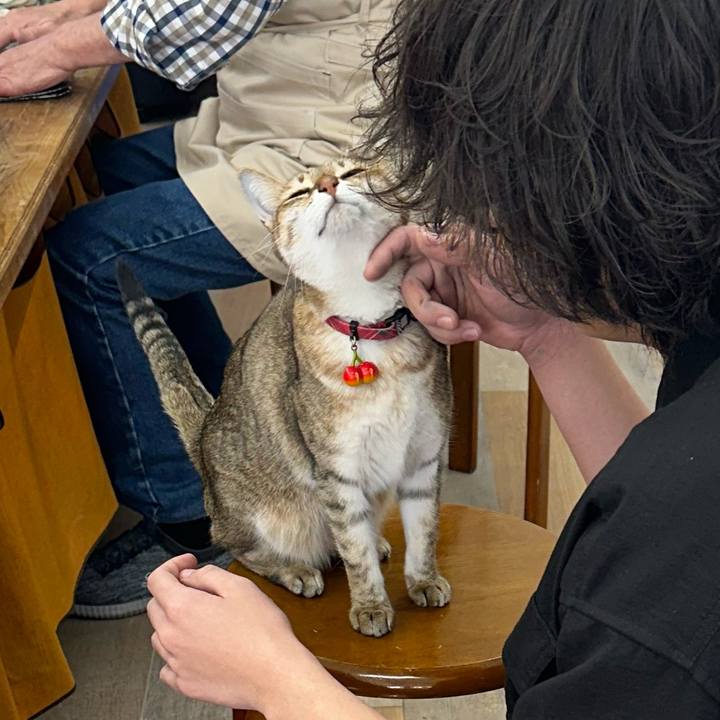 814f1bc4 31cc 486e 88d3 e8fbc516d01a 1766053625473