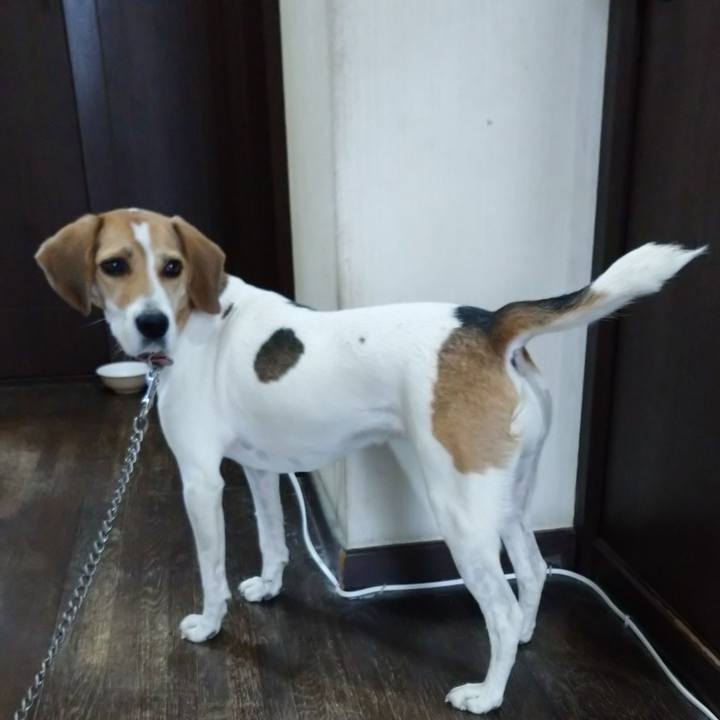 814f5cb1 f6b4 4c25 bfbb c6b14aa8faac 1602051376531