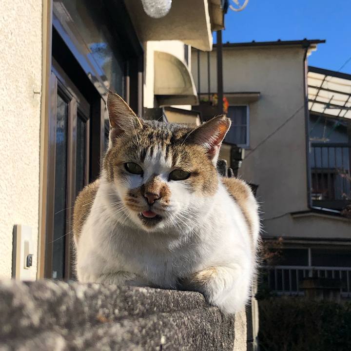 814f84b9 a07e 49c9 b105 f038752e2145 1644046246602