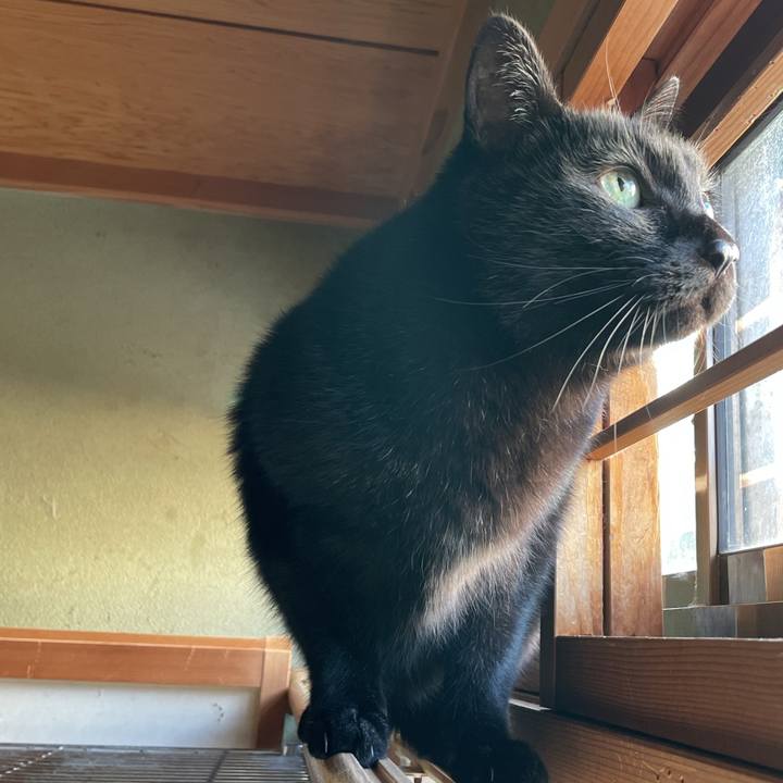 814f912c c4d1 403b 8c5c fbf8bd6852a4 1643335780501