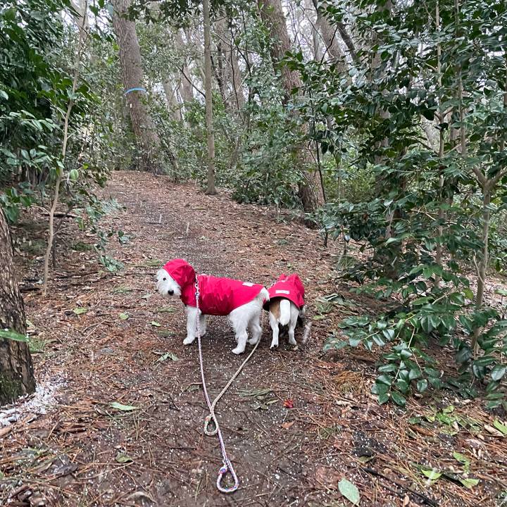 814f9b14 df96 4d4c 90ae 9a02e09979d5 1675899613264