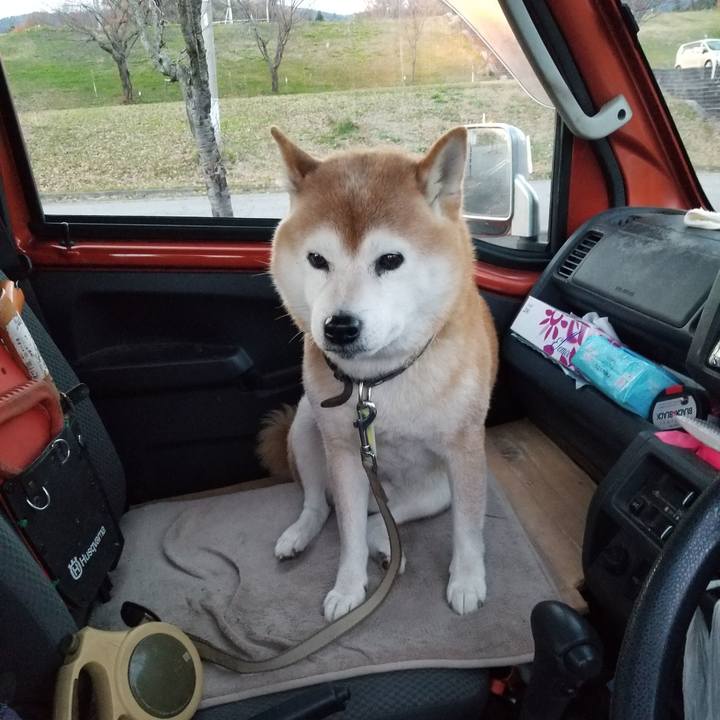 814fb8d3 8b2e 4d75 9196 74660cba508d 1669016355053