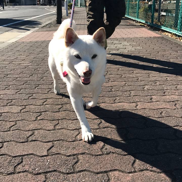 814fcb07 8d02 4c7d 97d6 9e76d62ade3b 1515026714665