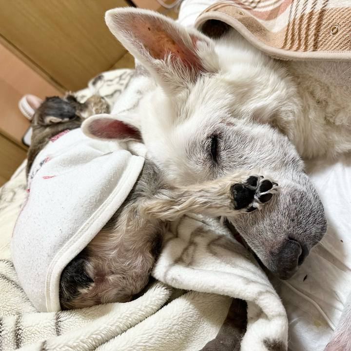 814fe0e1 b248 49b2 a506 505c3292d59d 1704234518273