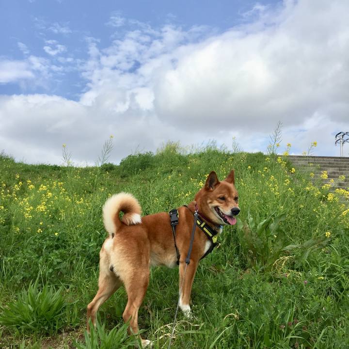 8150730e 2be2 43a3 9bbc 27b4fe01e4cb 1617512009831