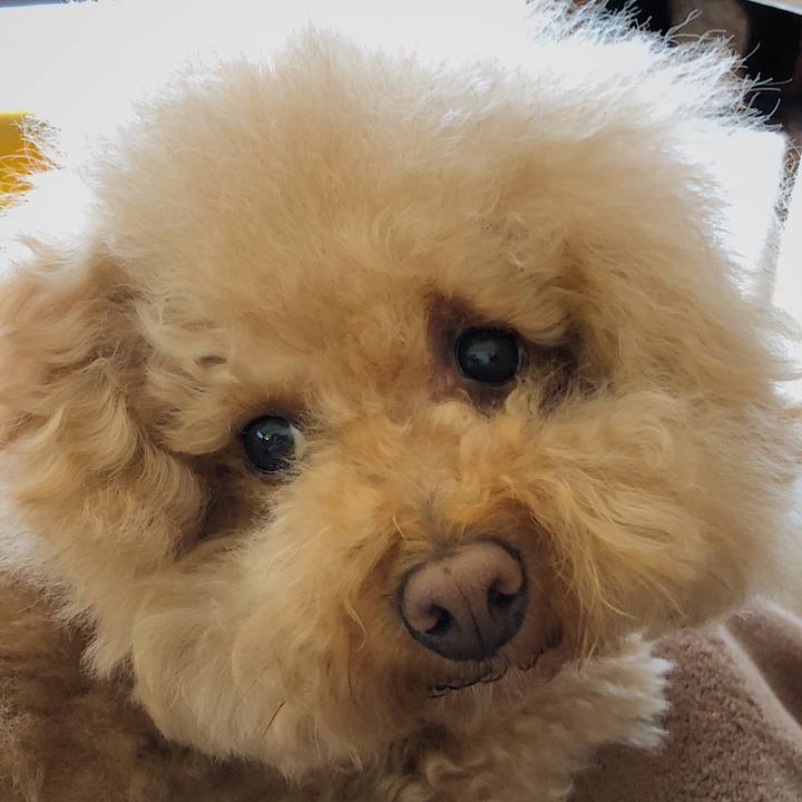 81508973 d26d 430c 834b 9ee0a1bf39be 1523179228912