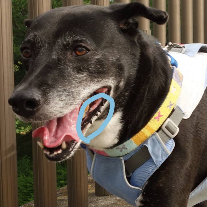 81509b73 1ba2 4332 bce7 130f3394e60b 1751932577181