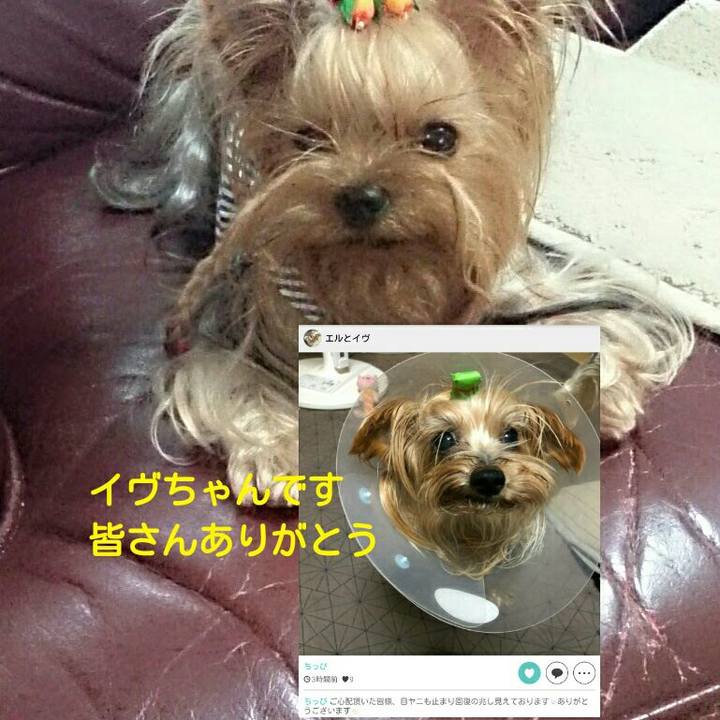 8150d24c 7f60 42b5 baa9 532bd121cb42 1536804191505