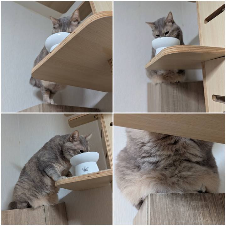 8150df2b 0d27 4ad8 a827 24a670438489 1739681808469