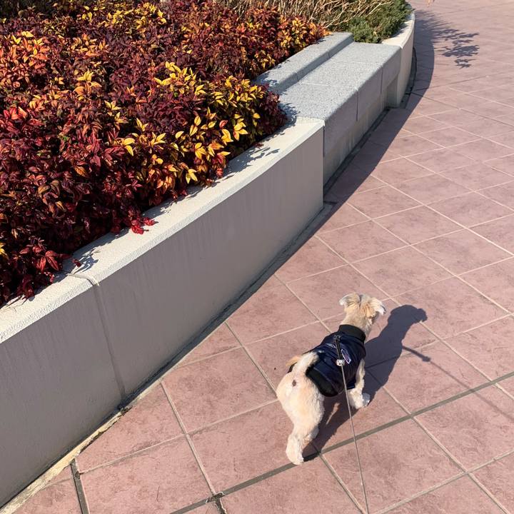 81510845 550a 4405 9e96 1dfb98358cfe 1550312550668