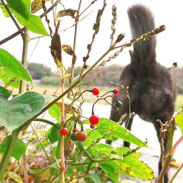 81512091 e599 4673 bf1f 2f0b71e9283e 1542930783121