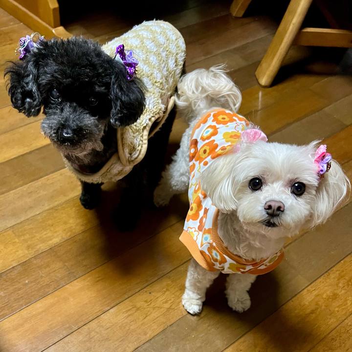 81512844 38c6 4672 afcf a75b1759968a 1766996483833