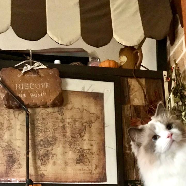 8151451d b81c 41be b266 76bd5d1d3b35 1597014884023