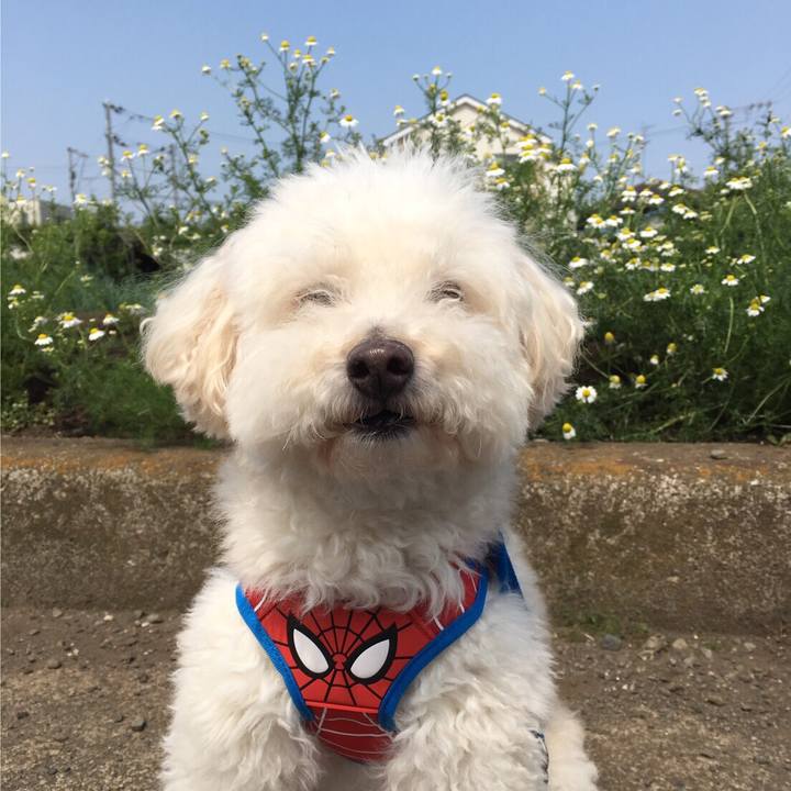 81516041 7eb8 4128 bcfc 9123b42ffa62 1580000248862