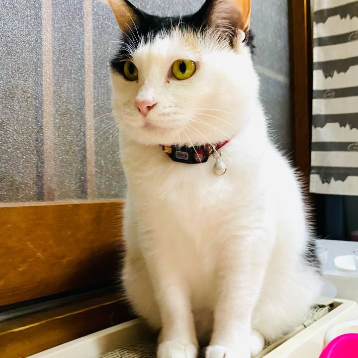 81516aab 9938 4997 9839 fbfd411cfe31 1686833114848