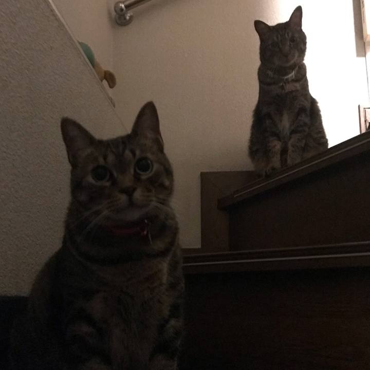 8151cbfb 982e 4bdb b63a 9a933b8cafbe 1623243193697