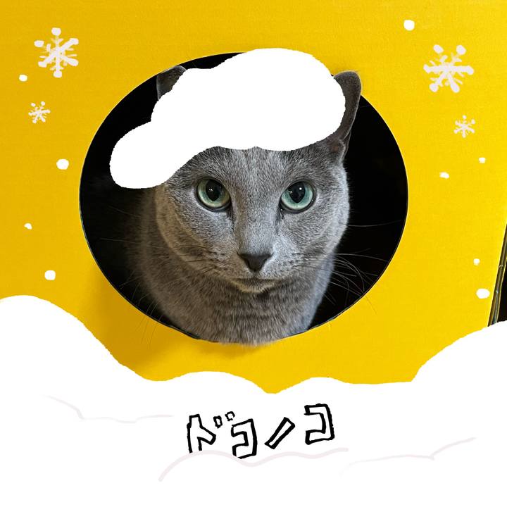 8151d259 2f3e 4a4b a700 295b66545278 1772233284020