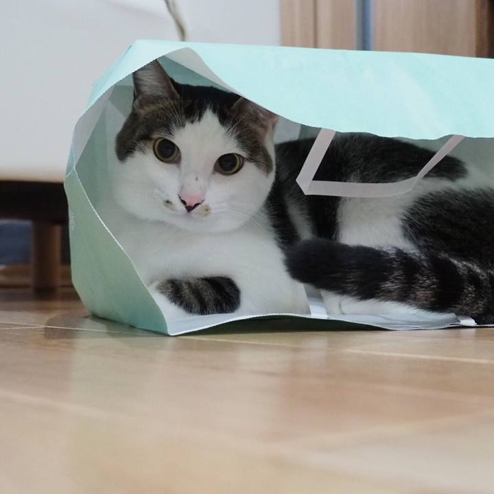 8151fb27 2ee4 4001 a2ba d6381fcc67e6 1547075817405