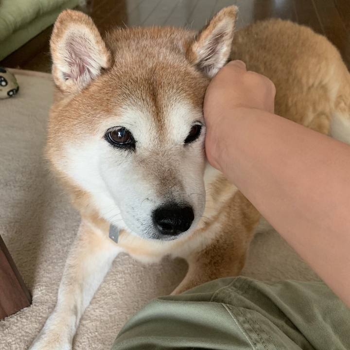 8152098f 8ed0 4f8f 9445 6d3d346cdd0f 1566602466958