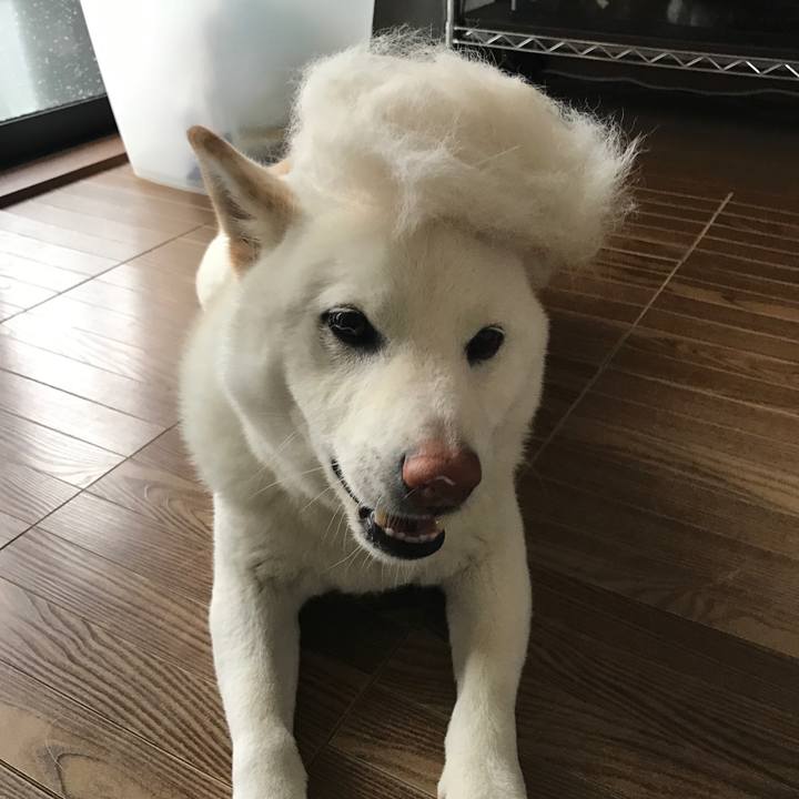 81520fda 6c44 4ac3 9792 c6aa38e4f08d 1524627435814