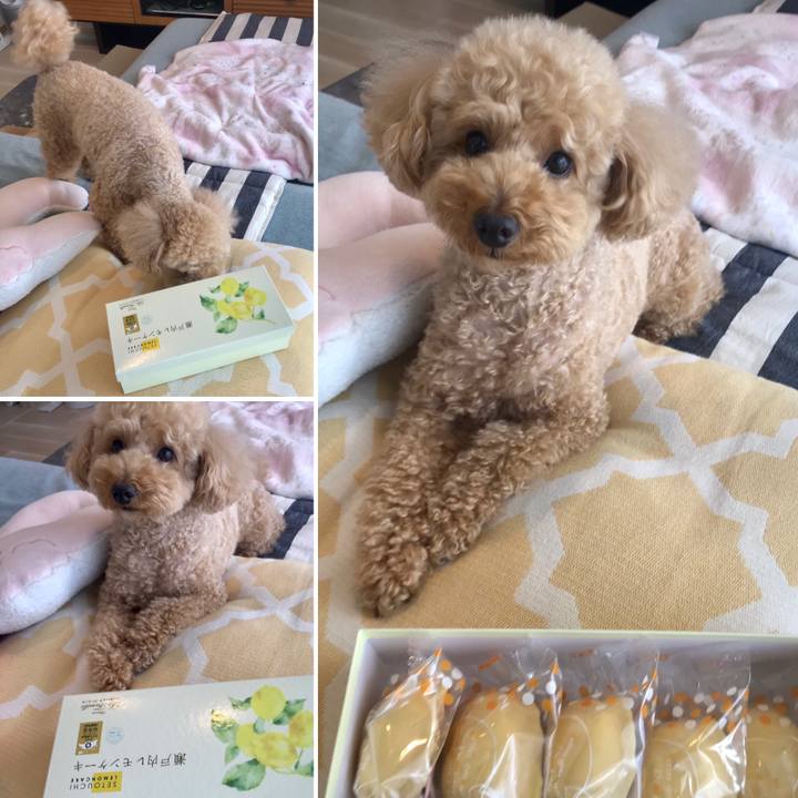 815250ac 1571 4a04 a931 d76dd65cd0ce 1589956869264