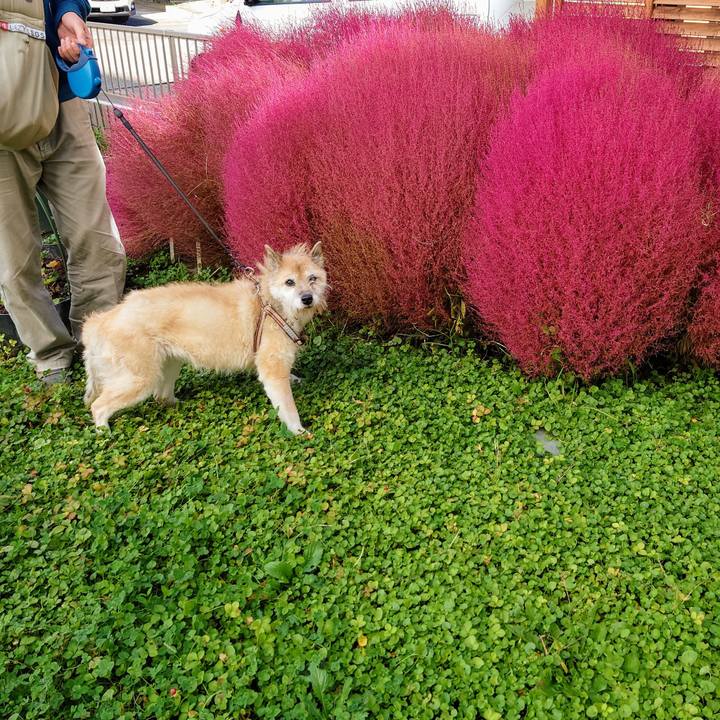 81526984 96d9 4b4c aa9e 0a41205040a5 1634953800169