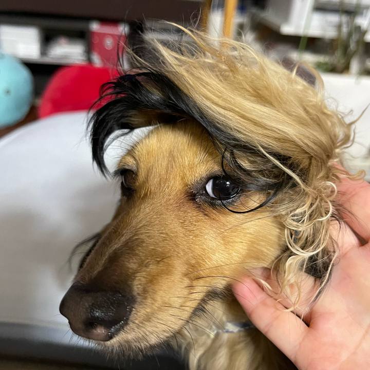 8152a1db b249 4eba 8284 b9f6f65911dc 1649423107031