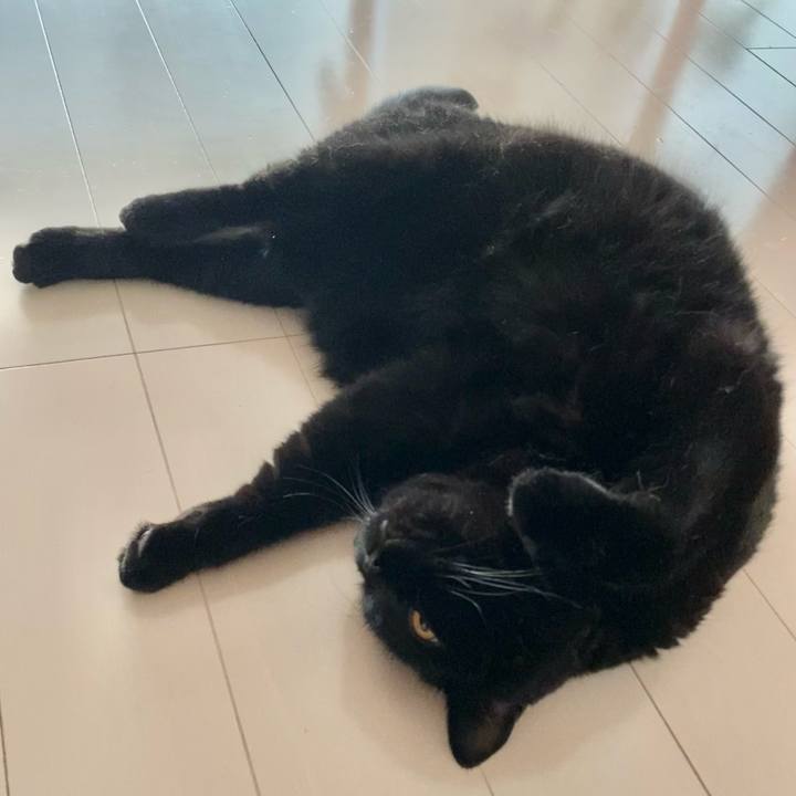 8152cede a8b9 4ed7 a046 f4332df803c9 1629277134018