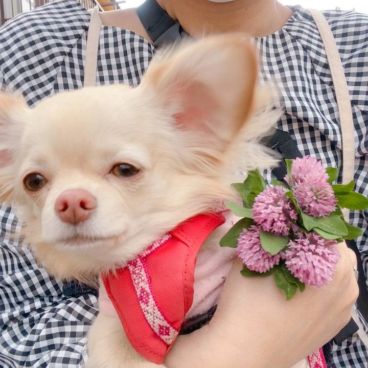 8152ef67 43ad 4103 8da0 9a8d01f37985 1619080436609