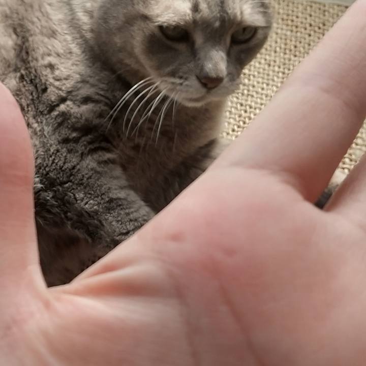 8152fdb7 4152 43fa 8a83 0489768b7025 1638151852262