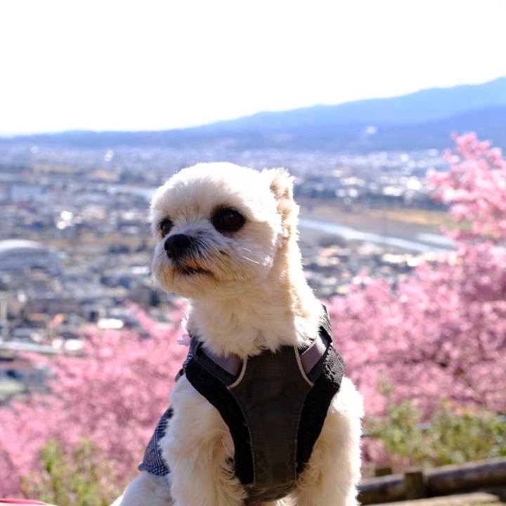 81530c25 ac08 4c09 b8dd b15599036f64 1614164035779