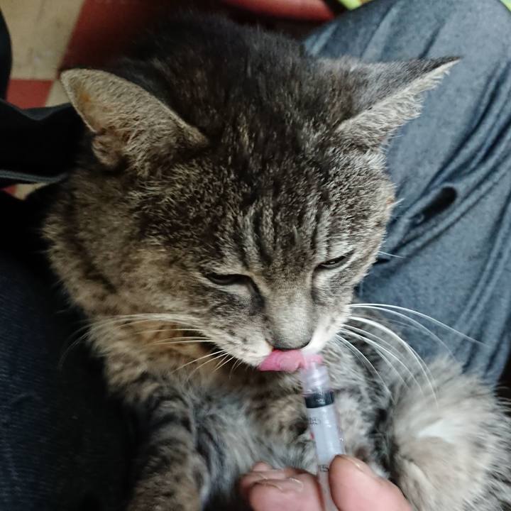 81531733 e66a 4db4 81ba 9f5d1749c515 1579210333502