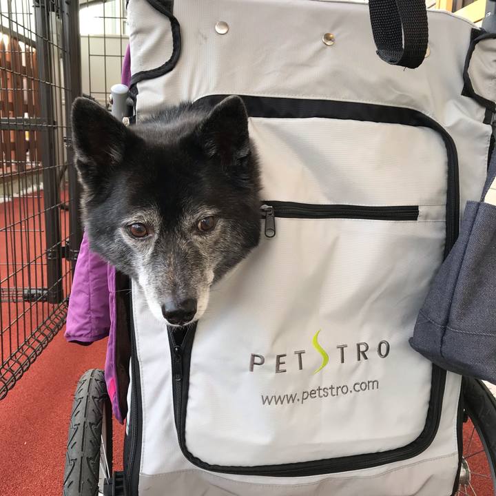 81532fbd 64d0 4b85 8a15 b8d0e5e4e8e3 1580474312495