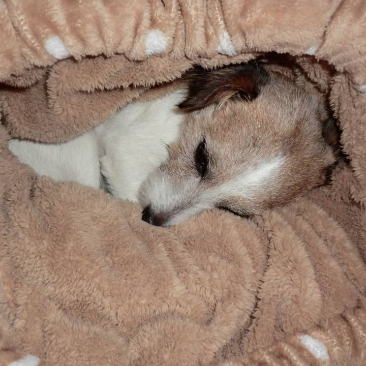 815333fc 3686 4790 bdec 80c79f8fd451 1515748131841