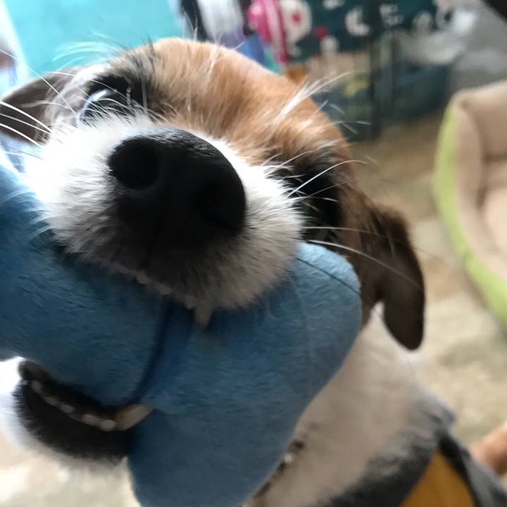 81535dde 0e06 4525 8bd4 f9f79be75c63 1519000234038