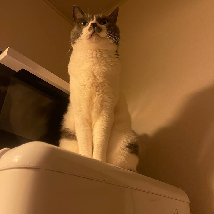 81538b34 efd4 43a9 9065 73526996948f 1741084329376