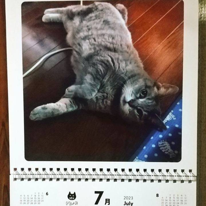 81539566 17d2 46d5 a9d5 c72ee08f76c8 1688152123709