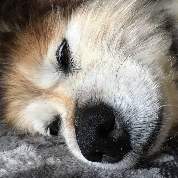 8153aadd d916 4b81 b93c 4506a42442e8 1547900481511