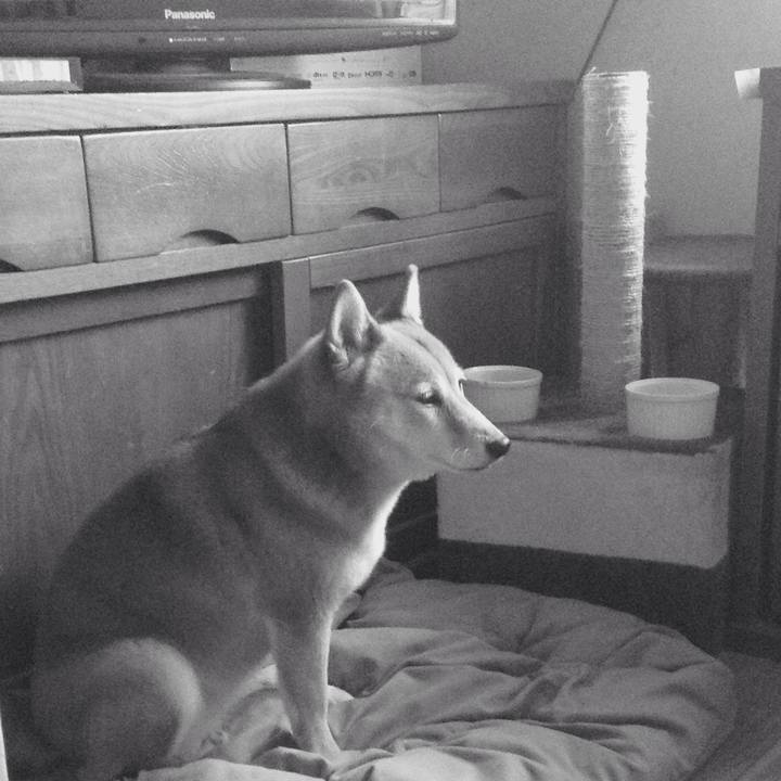 8153c4f4 adab 4fc3 99cd afefc1260852 1536624864408