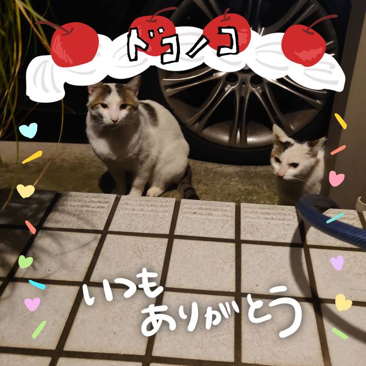 8153ceef 8432 40cb 9619 f2bf73d4084a 1685971061434